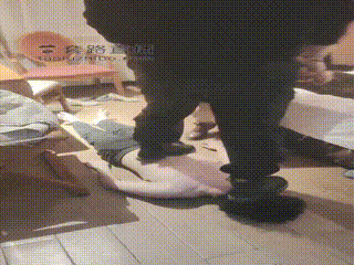 套路-视频 抗揍狗子_4283364096