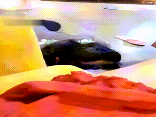 维依 男女奴  海天www