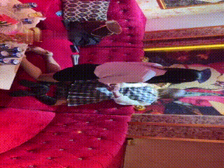1649570145877