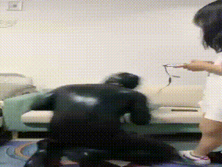 超美御姐小白鞋棉袜虐狗筱月 2bzha_2878482470