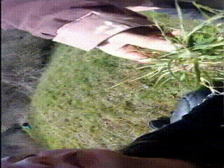 双主小溪骑母马~1