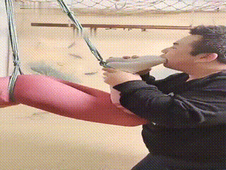 VIDEO_041308332094884