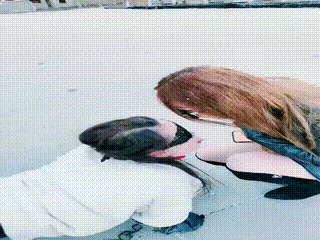 梦幻大大S户外当着路人刺激遛狗加省水喂食