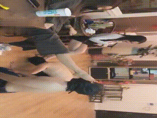 双子姬双主羞辱两条吃史狗 (1)