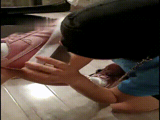 哈宝SJK下的贱狗狗
