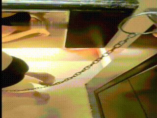 zb嘿丝喂食1