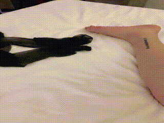 视频打赏