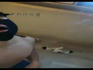 TL26364 伊莉】情侣虐狗骑马踩踏恋足口水~1_Compress