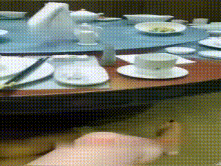 一诺 S餐桌下养条母狗