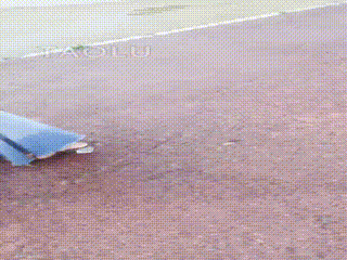 套路直播29909 www
