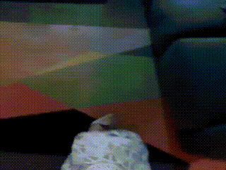51美脚社区3145602822