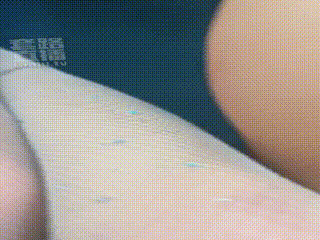 骚浪贱的母狗