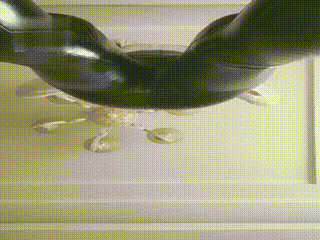 【必看】皮裤上帝视角倒计时_