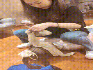 足恋踩踏sm论坛5852866508