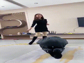 双主训马奴
