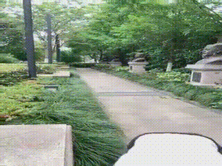 莫妮卡卡户外爬行舔鞋底