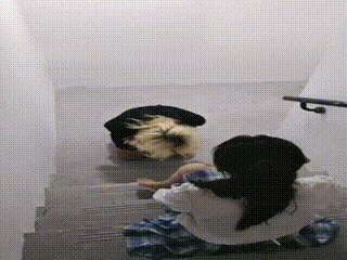 学生太妹条女同学