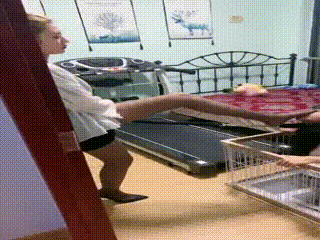 安小可狗笼姆狗_clip