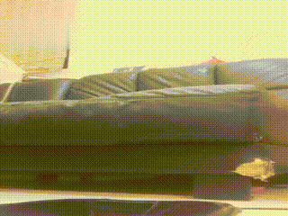 女S脚奴6323649700