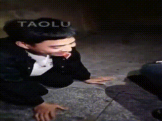 双素人刘二狗