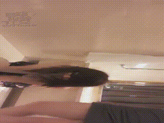 女奴求饶最爱暴力sp耳光