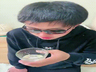 罗宾】调制冰镇圣水