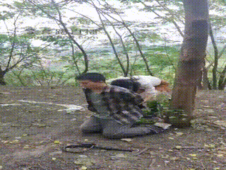 视频打赏