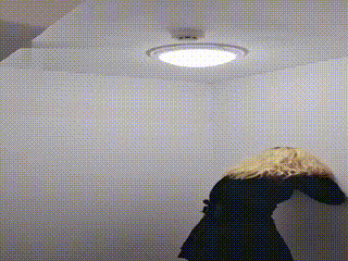 视频打赏