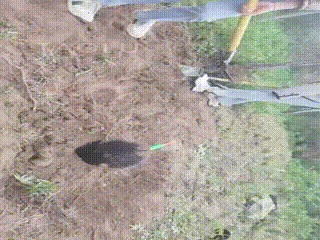 药神】地狱级惩罚群体活埋