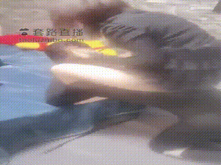 上海格格】骑着家奴做家务