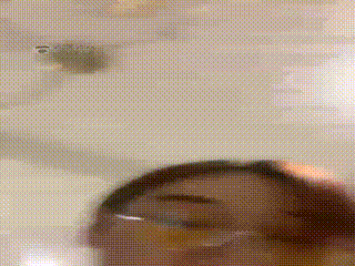 全体重深喉  伊茜