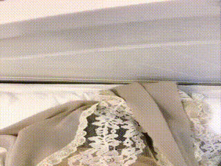 字母圈字母社区4631544685