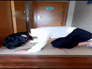 【哈宝s我的贱母狗