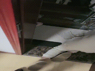 sm视频_狗奴k9414_001645