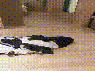 维依羞辱贱狗