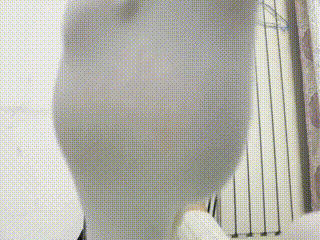 sm视频_狗奴k9501_185217
