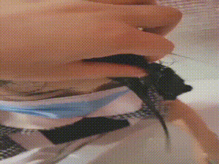 video_女王虐男奴丨Ⅴk	621_100305
