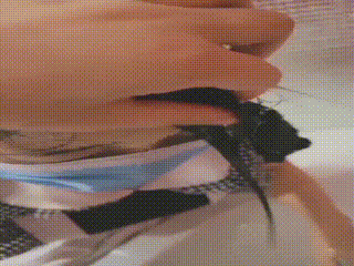 调教视频_230621_151621