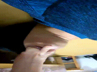 视频打赏