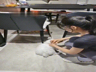 调教视频_230702_095002