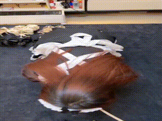 调教视频_230703_124042