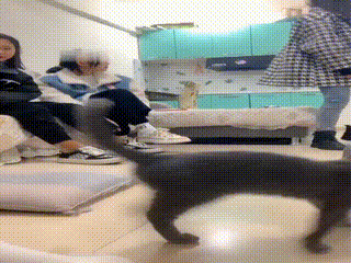 sm视频_狗奴k9729_215249