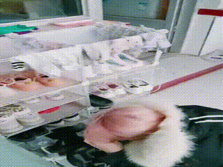 双S网红模特虐母畜 (2)