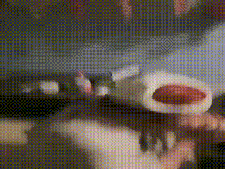 sm视频_狗奴k9819_123227