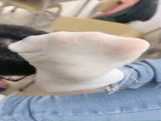 sm视频_狗奴k9905_224900