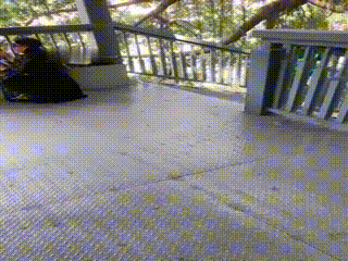 视频打赏