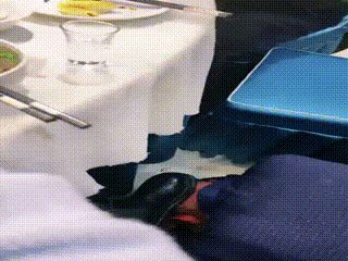 乔安S朋友聚餐狗子桌子底下伺候无视服务员 00_10_13-00_15_13