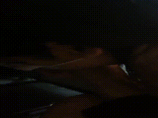 调教视频_231016_230027