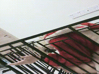 时安】不听话的贱母狗 00_11_38-00_16_37