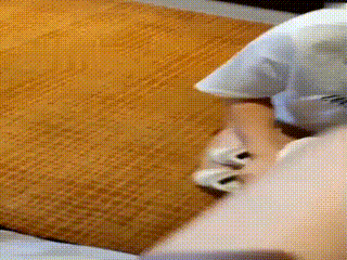 调教视频_231024_112150